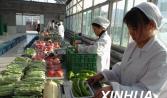 汕頭市遠盛餐飲管理策劃有限公司嚴控餐飲食品安全風險