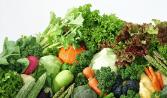 汕頭蔬菜批發、潮陽蔬菜批發、潮南蔬菜批發、澄海蔬菜批發、南澳蔬菜批發、龍湖蔬菜批發、金平蔬菜批發、達濠蔬菜批發，峽山蔬菜批發，陳店蔬菜批發，揭陽蔬菜批發,潮洲蔬菜批發，庵埠蔬菜批發等