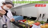 食堂承包承載專業化蔬菜配送 將餐飲做到極致