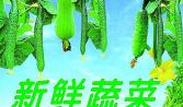 一直致力于滿足人民群眾日益增長的美好生活需要，堅持著做生鮮行業的‘初心’，努力打造著食材配送行業標準。
